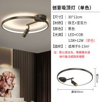 单色白光 黑色/小号/30CM 卧室灯北欧轻奢极简带射灯led书房吸顶灯简约现代过道衣帽间灯具