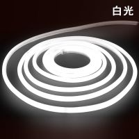 220V圆形360度发光[白光] 5米装+插头1个+卡扣+尾赛 led灯带圆形超高亮柔性霓虹贴片软灯条客厅户外装饰招牌防