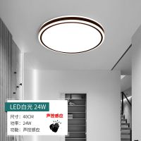 黑谍影40cm声光控感应24W led感应吸顶灯声控楼道楼梯过道家用入户玄关自动雷达人体感应灯