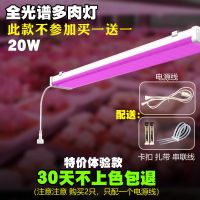 体验款全光谱防水五排0.5米20W LED植物生长灯多肉补光灯上色全光谱防徒家用室内花卉育苗仿太阳