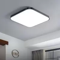 黑色 30*30无边铝 led吸顶灯灯芯改造灯板灯带灯盘灯条灯泡长条节能透镜贴片光源