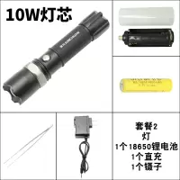 双光源(白+紫) 9030型10W基础套餐1电1充1镊 蝎子灯紫光灯超亮强光专用捕蝎灯照捉蝎子紫外线可充电手电筒验钞