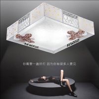 24瓦单色白光 岸芷蝶舞 led吸顶灯卧室灯圆形现代简约客厅灯房间婚房灯温馨浪漫卧室灯具