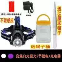 变焦紫光白光2节锂电+直充 蝎子灯捕蝎充电紫光超亮强光头灯照蝎子灯捕蝎灯专用充电头戴式