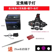 主灯紫光定焦蝎子灯2电1充送镊子 紫光蝎子灯3头LED户外专用捕蝎灯头戴式多功能夜钓头灯强光可充电