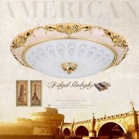 圆形孔雀花款 30厘米LED透镜24瓦白光 现代L简约ED玻璃吸顶灯卧室灯房间灯客厅灯走廊灯过道灯阳台灯饰