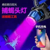 特卖款[白光+紫光]无感应 无礼品 蝎子灯捕蝎专用强光头灯户外超亮紫光抓捉照蝎子18650锂电池矿灯