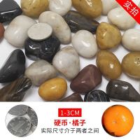 五彩精抛1-3厘米20斤 南京雨花石天然鹅卵石铺路五彩石园林造景鱼缸装饰花盆石头子庭院