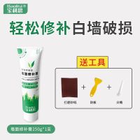 单只250g*1[送工具] 环保净味防霉[多拍送工具] 宝利思墙面修补膏净味防霉补墙膏白色家用腻子粉墙面破损划痕修复