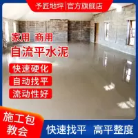 自流平水泥 0.5公斤(发快递) 自流平水泥家用耐磨高强度地面木地板找平路面道路修补砂浆地坪漆