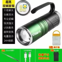 超亮蝎子灯3紫光白光 蝎子灯捕蝎灯户外大功率强光照捉逮抓捕蝎专用超亮紫光充电手提灯