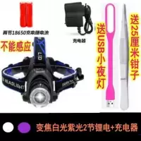 变焦紫光白光2锂电1直冲 照蝎子灯专用捕蝎灯强光充电捉照逮抓蝎子灯紫光灯超亮头戴式头灯