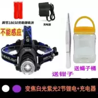 蝎子灯单头紫光白光2锂电+直冲 洪火蝎子灯捕蝎灯超亮紫光灯充电头戴式钓鱼灯户外捕蝎多功能手电