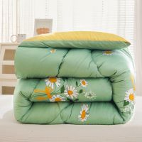 小雏菊DCZ*#*XML 110*150儿童春秋被 幸梦莱橙子被子冬天加厚冬被保暖棉被冬季款学生被芯宿舍单人双人