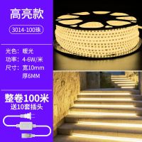 3014-100珠暖光(工程防水) 10米装+送1个插头+卡扣+尾塞 灯带led三色变光七彩灯条家用氛围超亮客厅吊顶遥控