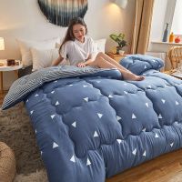 加厚冬被[经典三角] 110x150cm童被2斤 被子冬天加厚冬被保暖棉被冬季单人学生被芯宿舍双人春秋被褥垫被