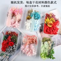 盒装混合干花1盒随机发货 永生花材料包diy干花手工团体建活动花艺课团扇浮游相框贴画压花