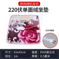 家用坐垫 220伏43*43厘米 货车车载加热坐垫汽车电热坐垫12V电热垫点烟器24V座垫电褥子家用