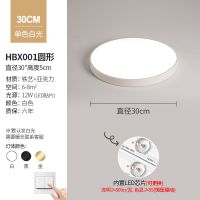 单层白色30CM单色白光 卧室灯北欧简约现代设计师吸顶灯大气客厅灯饰创意极简主卧室灯具