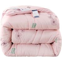 小清新玉 150x200cm夏被约2.1斤 被子被芯加厚冬被冬天保暖棉被春秋被空调被双人被单人宿舍被褥子