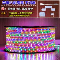 库存单排普亮[常亮不闪烁] 10米送控制器+卡扣+插针+尾冒 led灯带七彩室外节庆爆闪旋转流水跑马灯家用客厅超亮彩色软