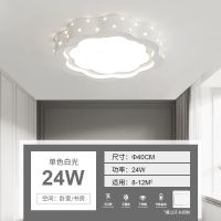 海棠花40cm高亮白光-24瓦 主卧室灯温馨浪漫儿童房间灯具家用创意婚房北欧客厅灯吸顶灯led