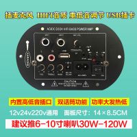 D3双麦蓝牙6-10寸 大功率音响功放板300W蓝牙主板12v24v220v通用车载家用低音炮音箱