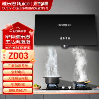 雅乐思ZD03 大吸力顶吸式易清洗-质保一年 门店自装