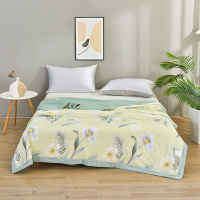 杉杉 清歌雅韵蚕丝被