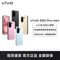 S30Pro mini 16+512