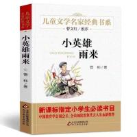 小英雄雨来(儿童文学) 山东省打卡阅读 鲁滨孙漂流记 小英雄雨来 书籍