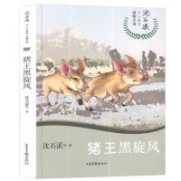 图片色 沈石溪十二生肖动物小说 猪王黑旋风 正版书籍