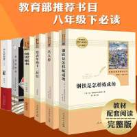 给青年的十二封信[完整版] 人教版原著钢铁是怎样炼成的傅雷家书名人传苏菲的世界平凡的世界