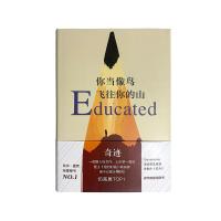 [精装硬壳]你当像鸟飞往你的山 你当像鸟飞往你的山精装硬壳奇迹塔拉维斯特弗比尔盖茨力荐