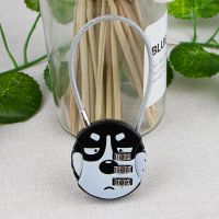 呆萌二哈 夜蝌密码锁小锁小型迷你电动车筐头盔防盗柜子健身房数字机械挂锁