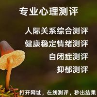 抑郁量表(SDS)测试 抑郁症自测 焦虑测评 自闭症测试 强迫症测试 在线心理测试