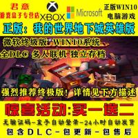 标准版 windows10正版 我的世界地下城英雄版 联机在线游戏 共享带汉化包