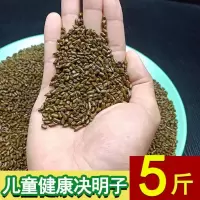 5斤大颗粒决明子(抛光去杂) 决明子玩具沙套装小孩玩沙池玩具沙滩车沙漏桶子挖沙铲散装决明子