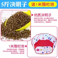 5斤优质决明子送1米围栏沙池 儿童玩具决明子沙滩玩具沙池套装宝宝挖沙漏男女孩玩沙子家用围栏