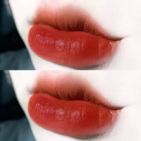 02# 小血管果酱慕斯哑光唇釉显白 持久 不粘杯 ins 超火