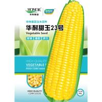 华耐甜玉23号玉米种子25g原装 华耐甜玉23号玉米种子水果玉米甜香四季水果种籽春季糯玉米孑农大