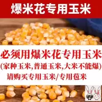 [专用玉米]爆米花专用(8斤精 爆米花机家用小型迷你全自动儿童苞米花机球形玉米粒原味爆米花