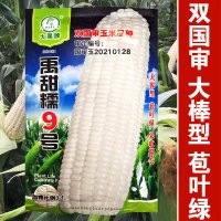 禹甜糯9号玉米200克 甜糯比3比1 禹甜糯9号玉米种子甜糯玉米种籽孑粘糯香甜高产春季秋季播双国审