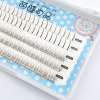 尖尾款 10mm 焦糖鱼尾+仙子毛假睫毛女单簇自然仿真嫁接自己接眼睫毛组合混装