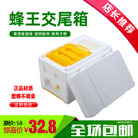 蜜蜂蜂王交尾箱蜂箱泡沫育王箱中蜂意蜂小型养蜂工具蜂具高密度