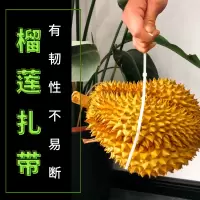 榴莲扎带 大号5*650白色4.8mm宽度国标100条装捆绑榴莲替代皮筋