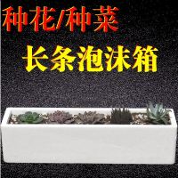 白色 其他 叁号箱(3个/件) 泡沫箱种植蔬菜楼顶阳台种菜专用室内种花家用保温箱长条大号户外