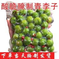 500g 广东现腌制青李子酸李子5斤腌李子酸辣腌制三华李泡李子孕妇水果