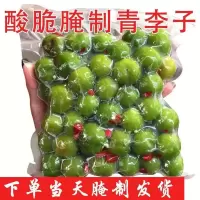 500g 广东现腌制青李子酸李子5斤腌李子酸辣腌制三华李泡李子孕妇水果