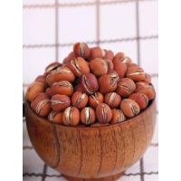 原味 岙环炒豆炒糊豆豆子炒货香酥椒盐蚕豆浙江台州温岭坚果特产500g